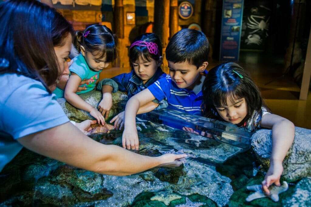SEA LIFE Aquarium Arizona
