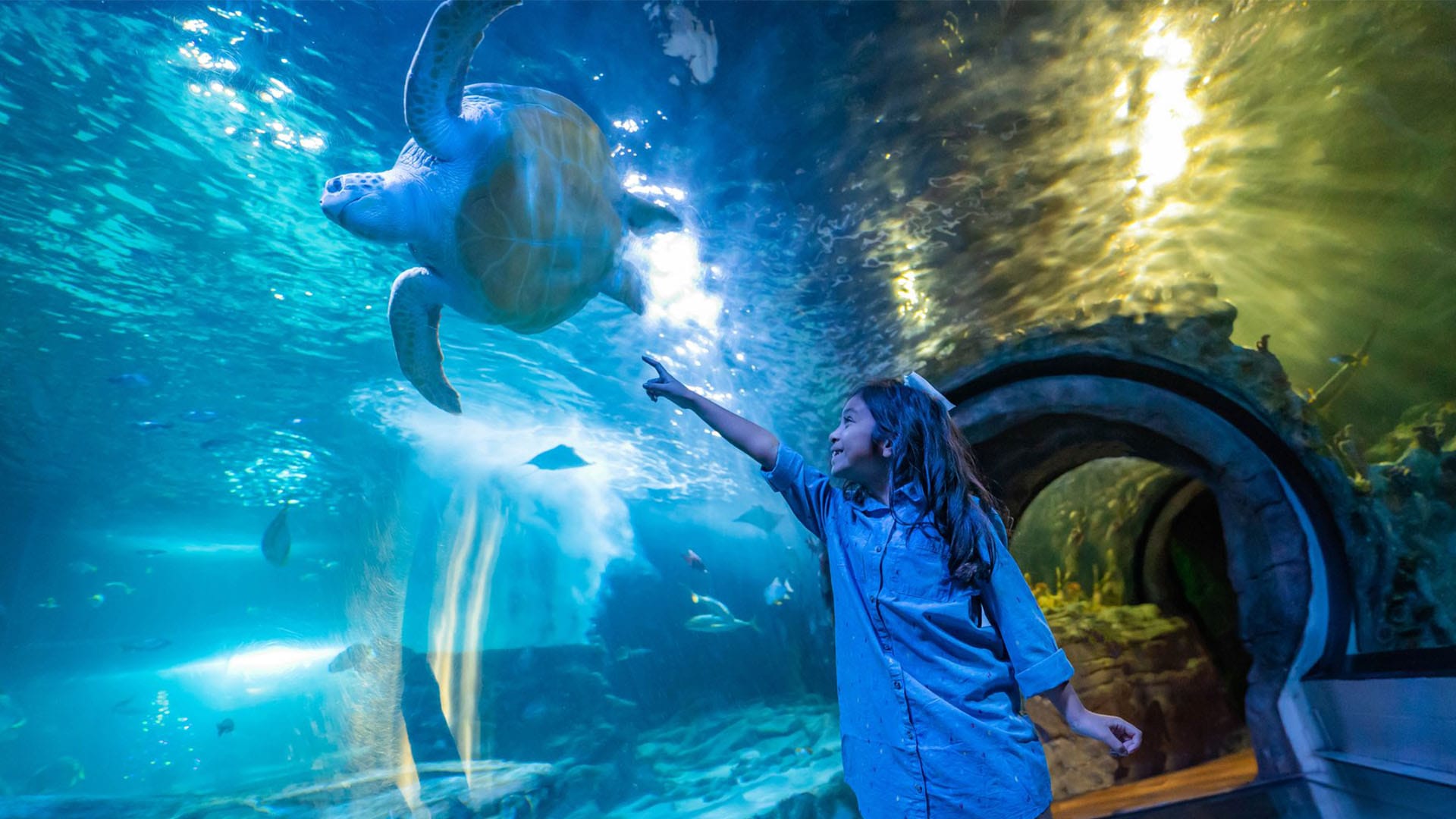 SEA LIFE Arizona